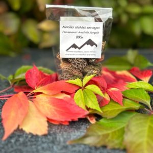 Morilles Himalaya, Inde (20g) - Sans tige